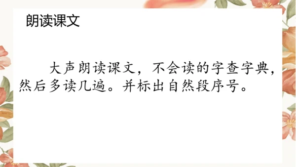 2 落花生 课件