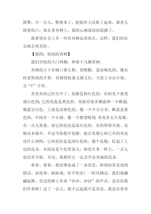 关于杏树的作文300字.docx