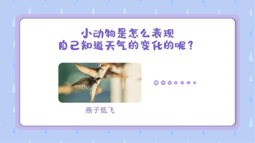 蓝色卡通插画简约小小气象员幼儿园认识天气教学课件PPT课件