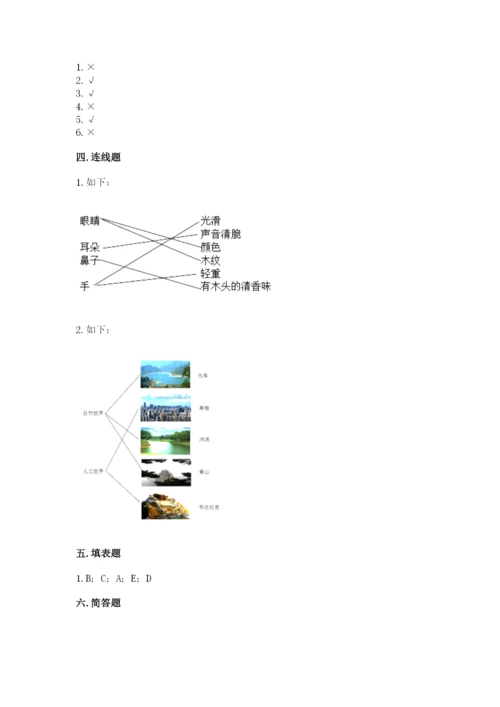 教科版科学二年级上册《期末测试卷》含答案（培优a卷）.docx