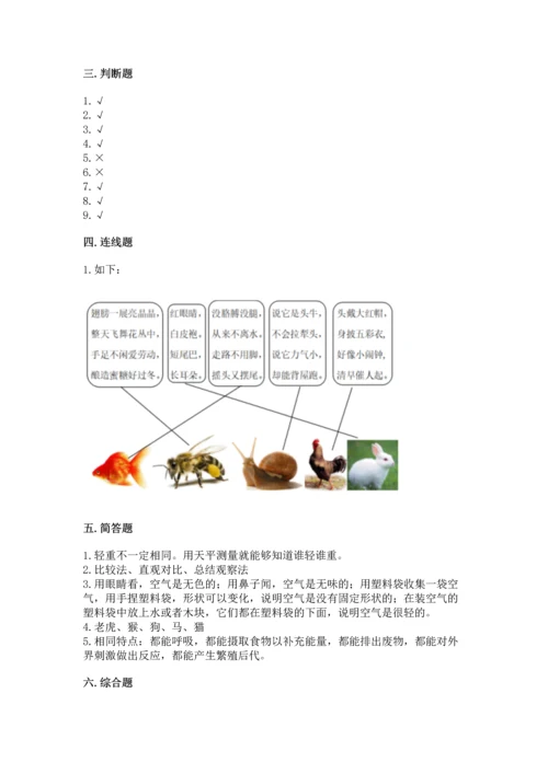 教科版一年级下册科学期末测试卷含答案【精练】.docx