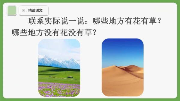 10《雨点儿》课件