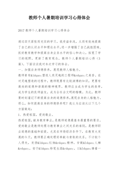 教师个人暑期培训学习心得体会.docx