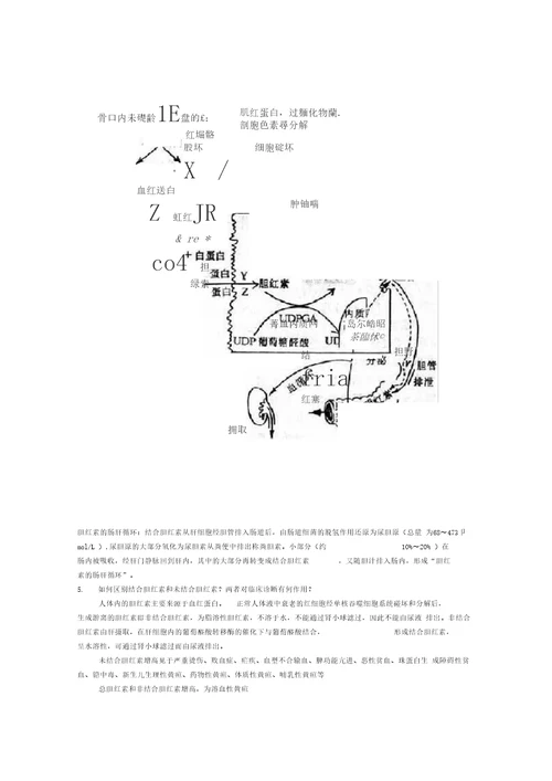 肝胆疾病案例