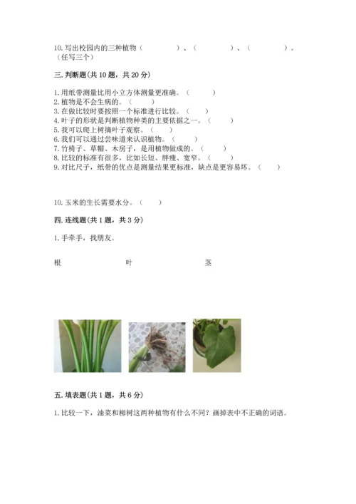 教科版科学一年级上册期末测试卷精品【有一套】.docx