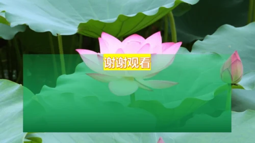 二下《古诗二》第一课时