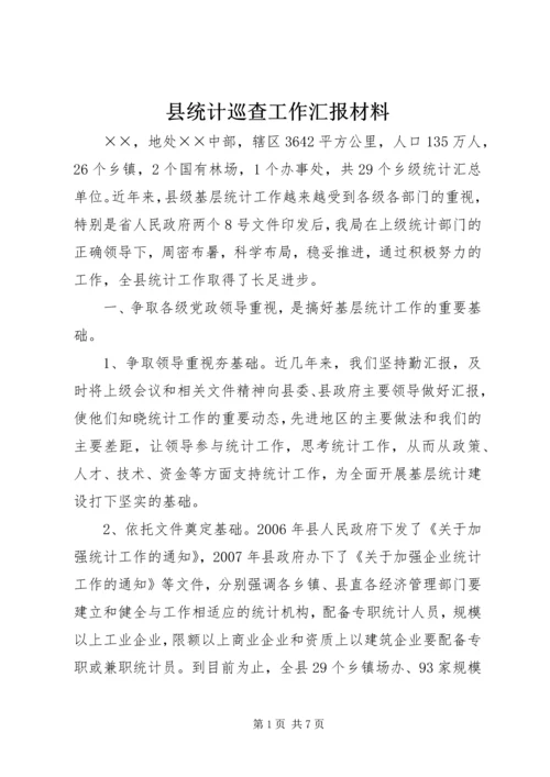 县统计巡查工作汇报材料.docx