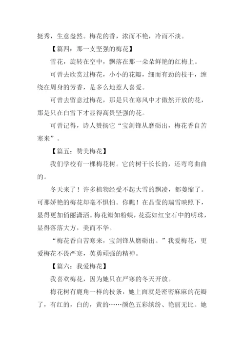 梅花作文100字0.docx