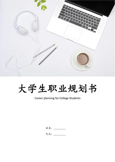 大学生职业生涯规划策划书