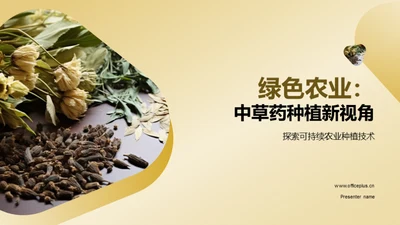 绿色农业：中草药种植新视角