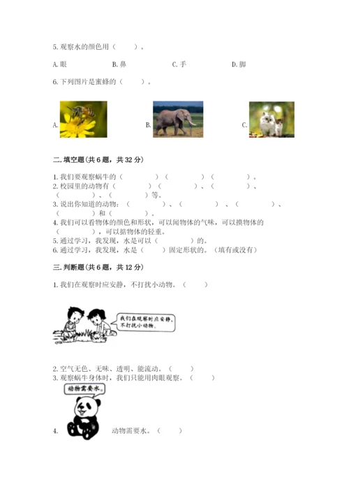 教科版小学科学一年级下册期末测试卷及答案（基础+提升）.docx