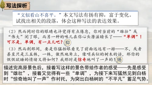 15 白杨礼赞 课件