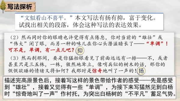 15 白杨礼赞 课件