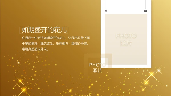 金色星光璀璨生日快乐纪念册电子相册动态PPT模板