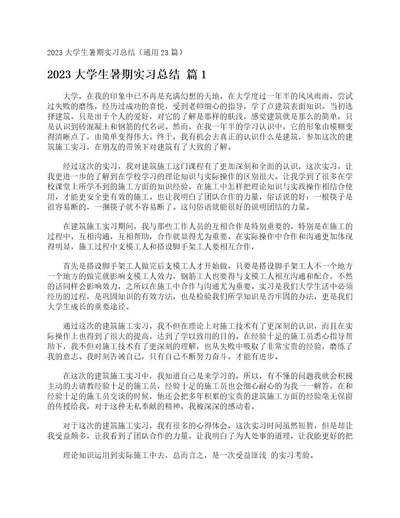 2023大学生暑期实习总结