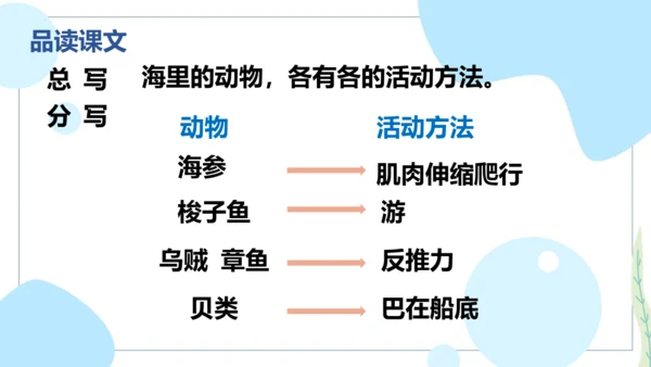 第23课 《海底世界》第二课时（教学课件）