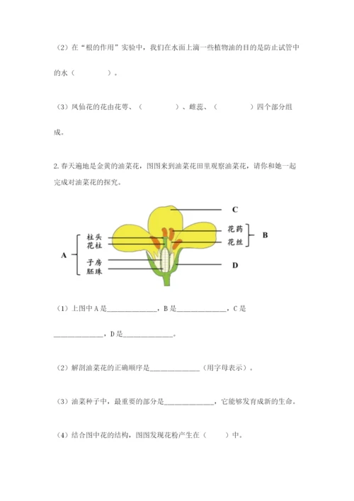 科学四年级下册第一单元植物的生长变化测试卷（精华版）.docx