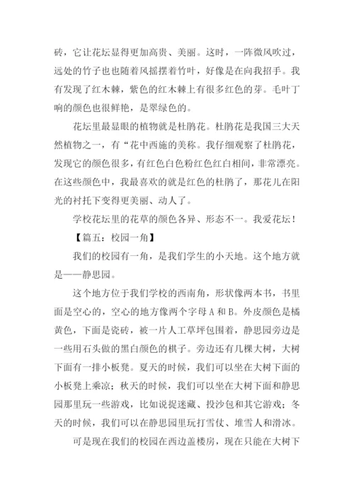 校园一角作文200字四年级.docx