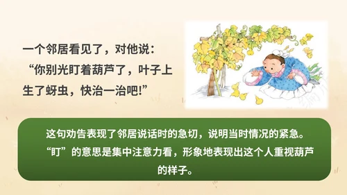 部编版二年级上册《我要的是葫芦》