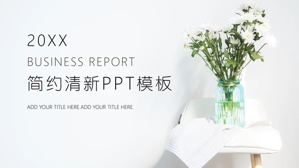 简约白菊封面商业计划书通用PPT模板