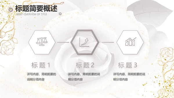公司企业品牌化妆品介绍宣传PPT