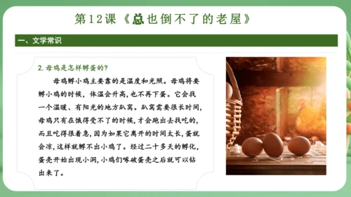 统编版2024三年级语文上册第四单元复习   课件