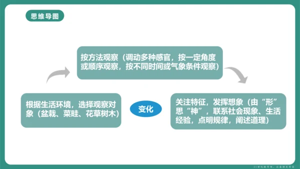 第一单元 写作 热爱写作，学会观察 课件-【课堂无忧】新课标同步核心素养课堂