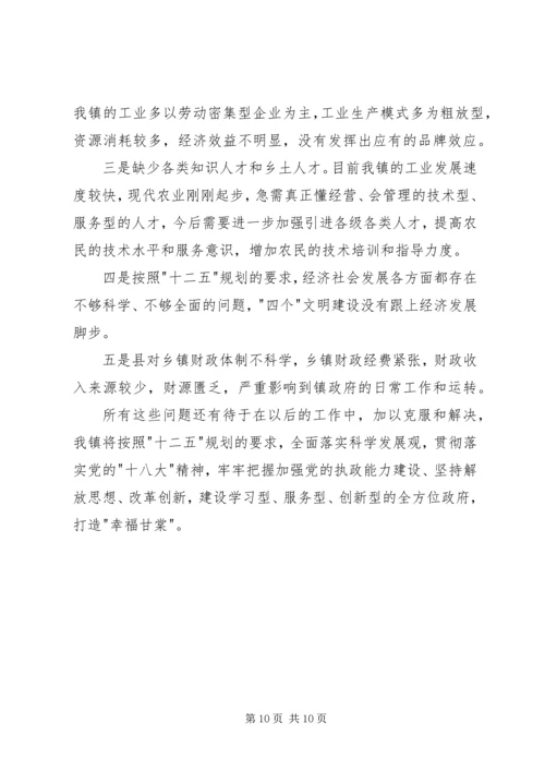 乡镇政府工作总结1.docx