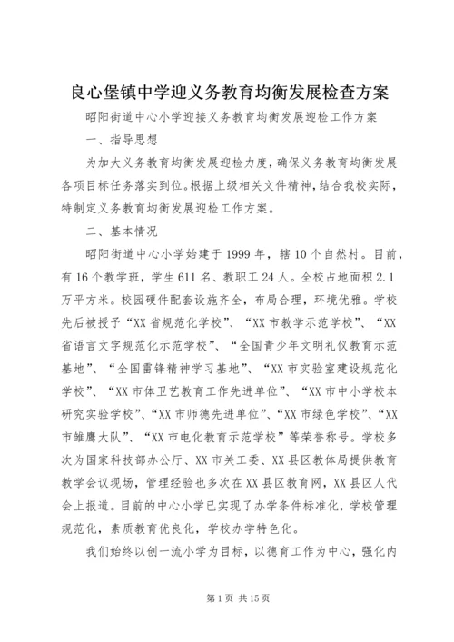 良心堡镇中学迎义务教育均衡发展检查方案 (5).docx