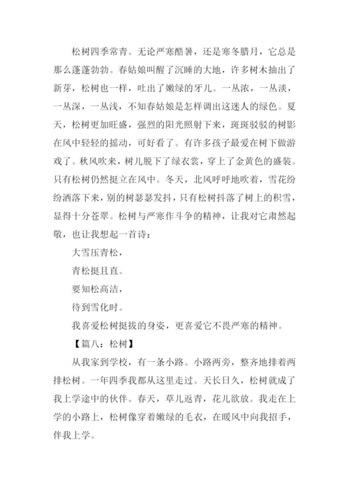 借物喻人的作文600字松树.docx