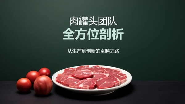 肉罐头团队全方位剖析