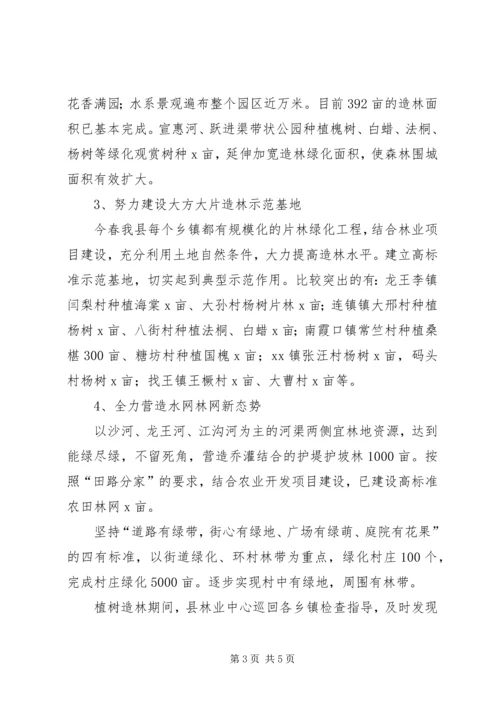 林业中心XX年上半年工作总结及下半年工作计划.docx