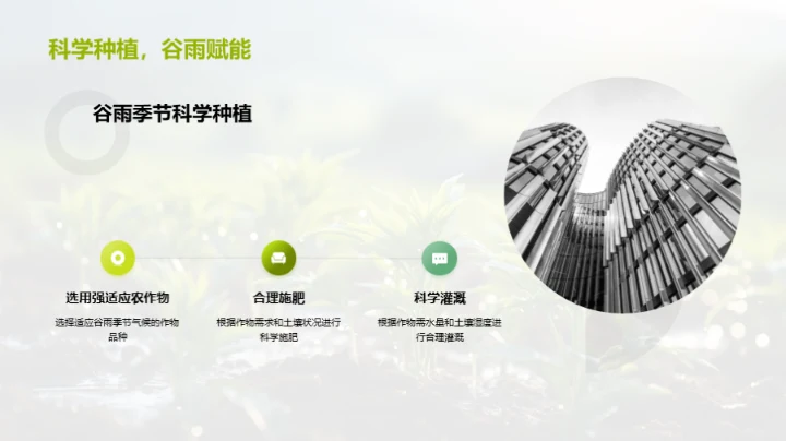实践谷雨环保农业