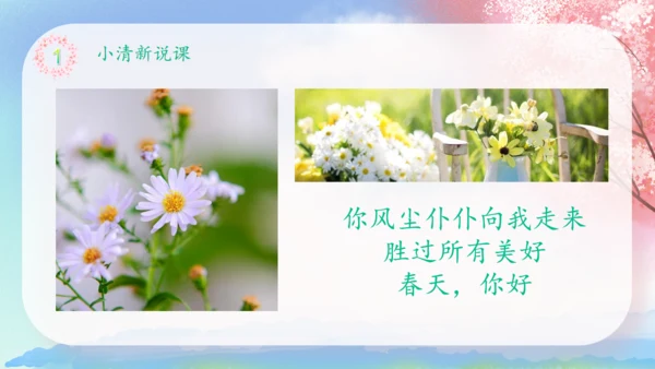 遇见春天樱花树下通用PPT模板