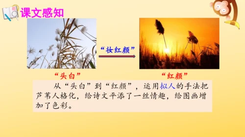 3 现代诗二首  课件