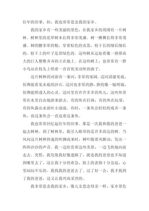 思念家乡的作文400字.docx