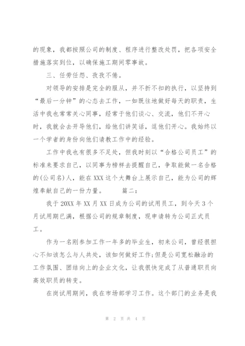 新员工试用期满转正工作个人总结.docx