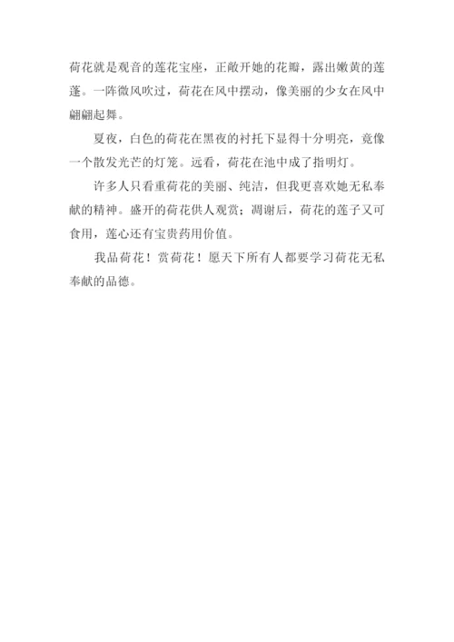 关于花的作文350字.docx