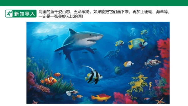 第九课《用彩墨画鱼》课件