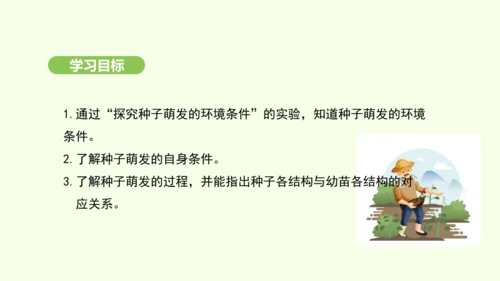 第三单元-第一章-第一节-种子的萌发课件-2024-2025学年七年级生物下学期人教版(2024)(
