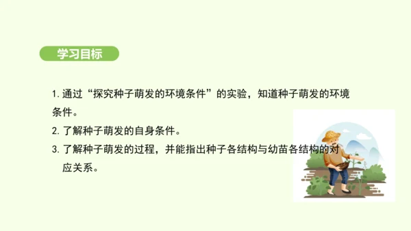第三单元-第一章-第一节-种子的萌发课件-2024-2025学年七年级生物下学期人教版(2024)(