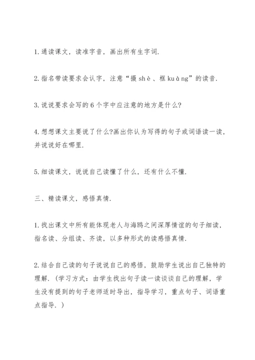 语文A版四年级语文下册《老人和海鸥》教案.docx