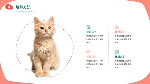 宠物店猫狗饲养心得经验分享通用PPT模板