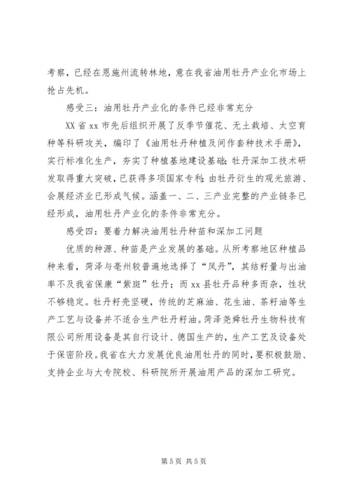 赴湖南邵阳安徽亳州油用牡丹产业发展情况考察报告.docx