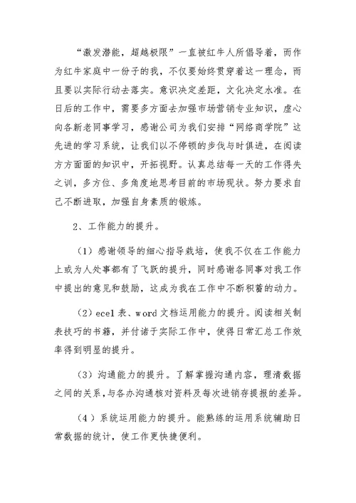 公司信息主管工作总结及XX年度工作计划