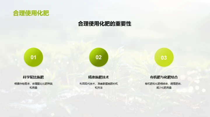 实践谷雨环保农业