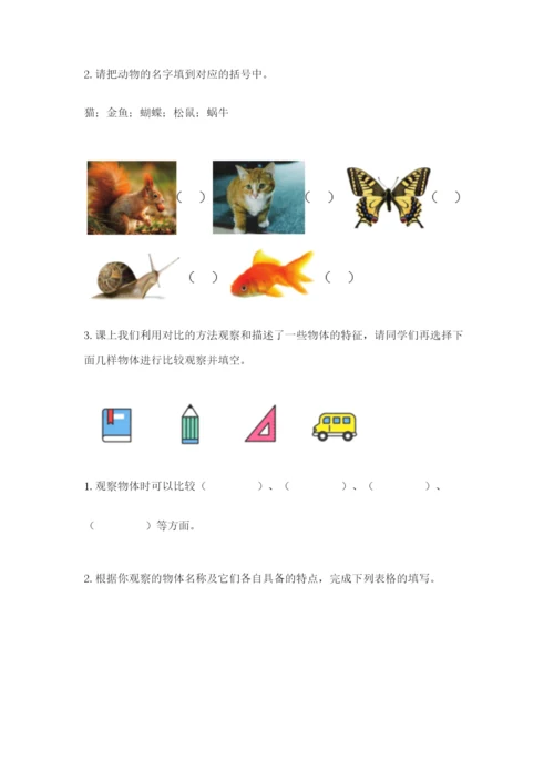 教科版小学科学一年级下册期末测试卷【名师系列】.docx