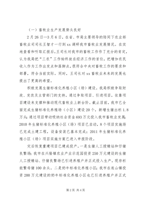 市畜牧业上半年工作总结及下半年工作计划 (6).docx