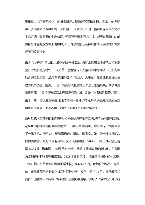 东灿海上水稻项目商业计划书