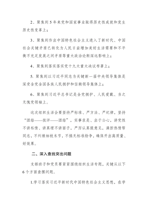 党支部组织生活会工作专业方案.docx